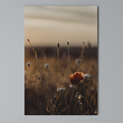 GLOWING MEADOWS AT DUSK Vertical Canvas Print