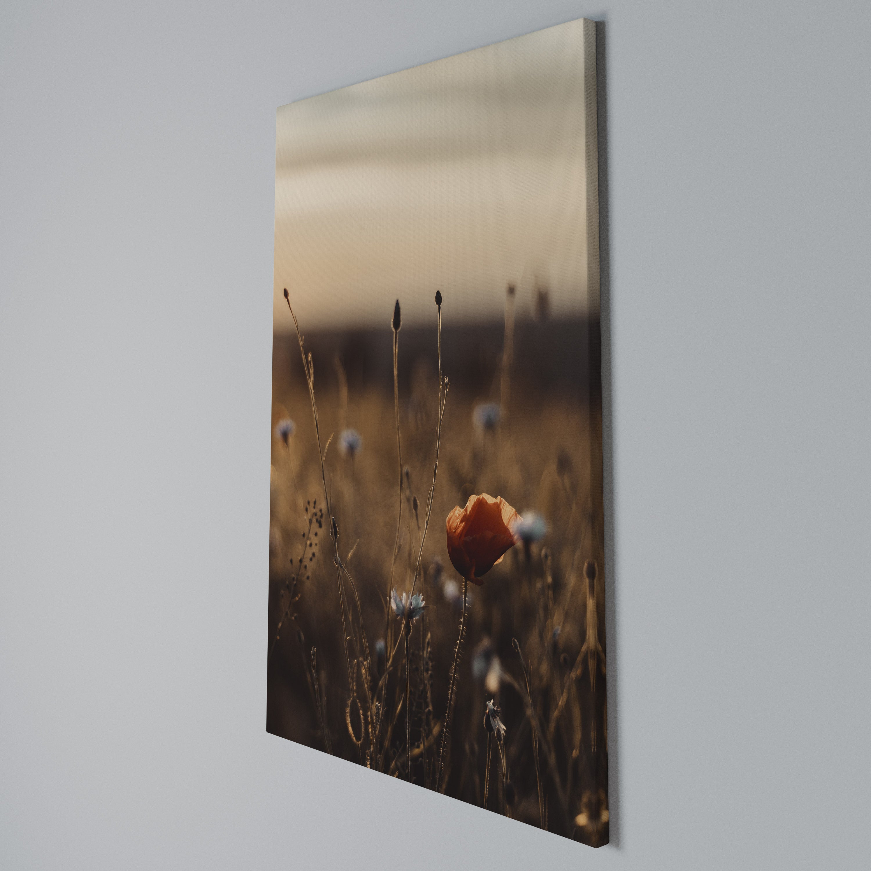 GLOWING MEADOWS AT DUSK Quadro em tela vertical
