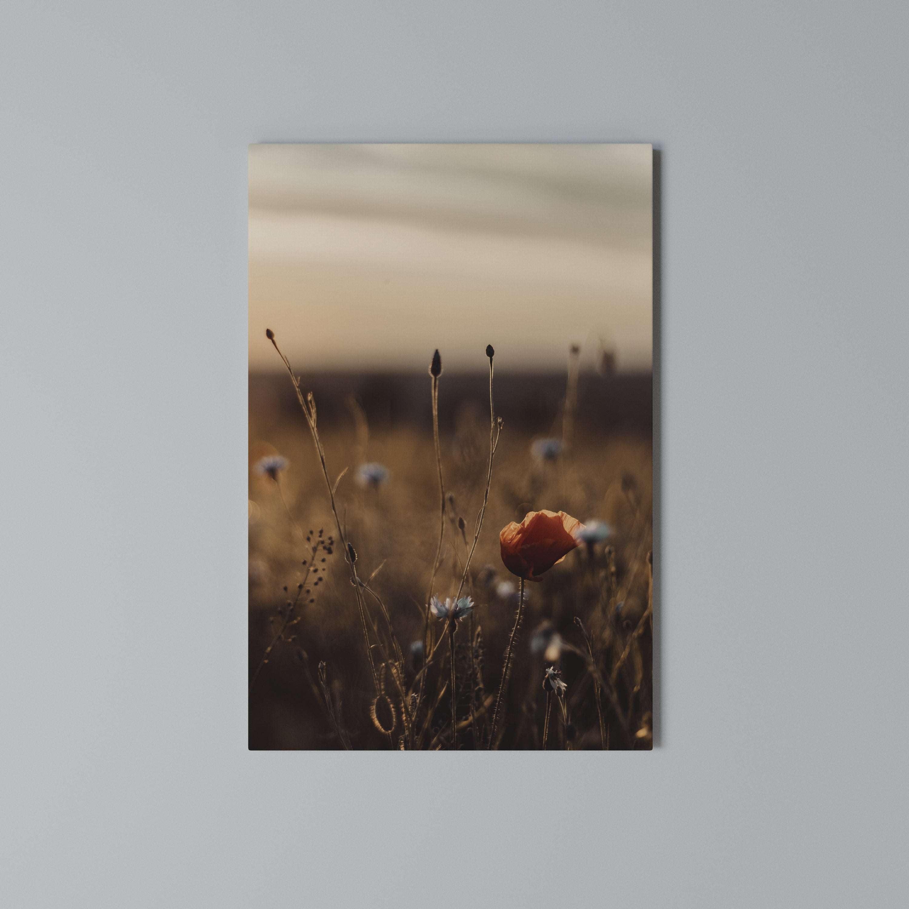 GLOWING MEADOWS AT DUSK Quadro em tela vertical