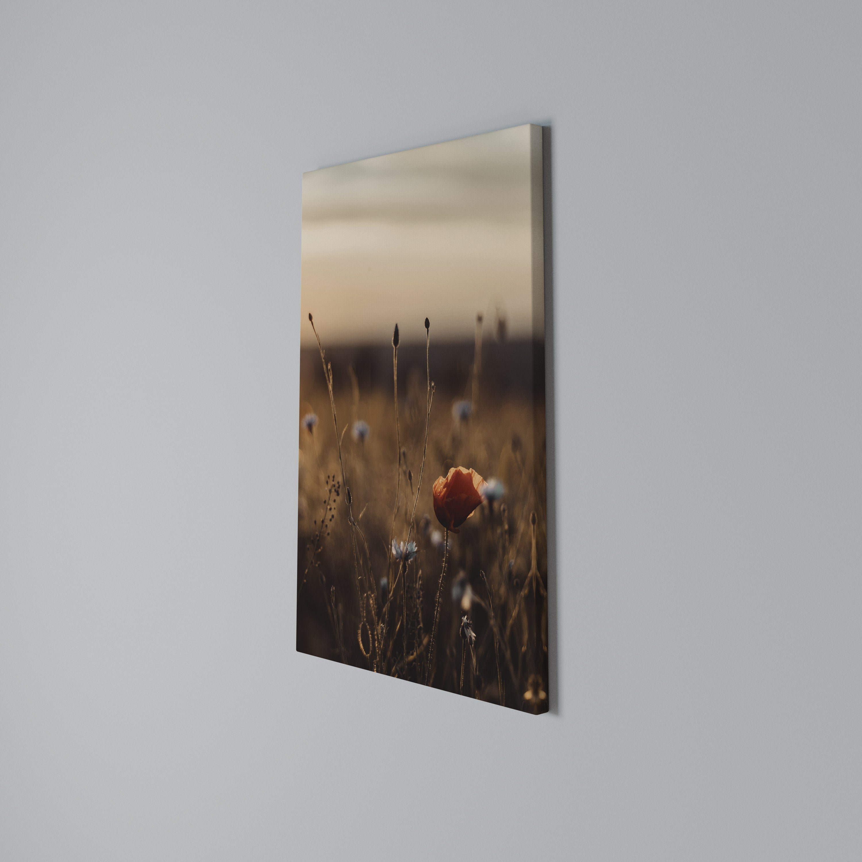 GLOWING MEADOWS AT DUSK Quadro em tela vertical