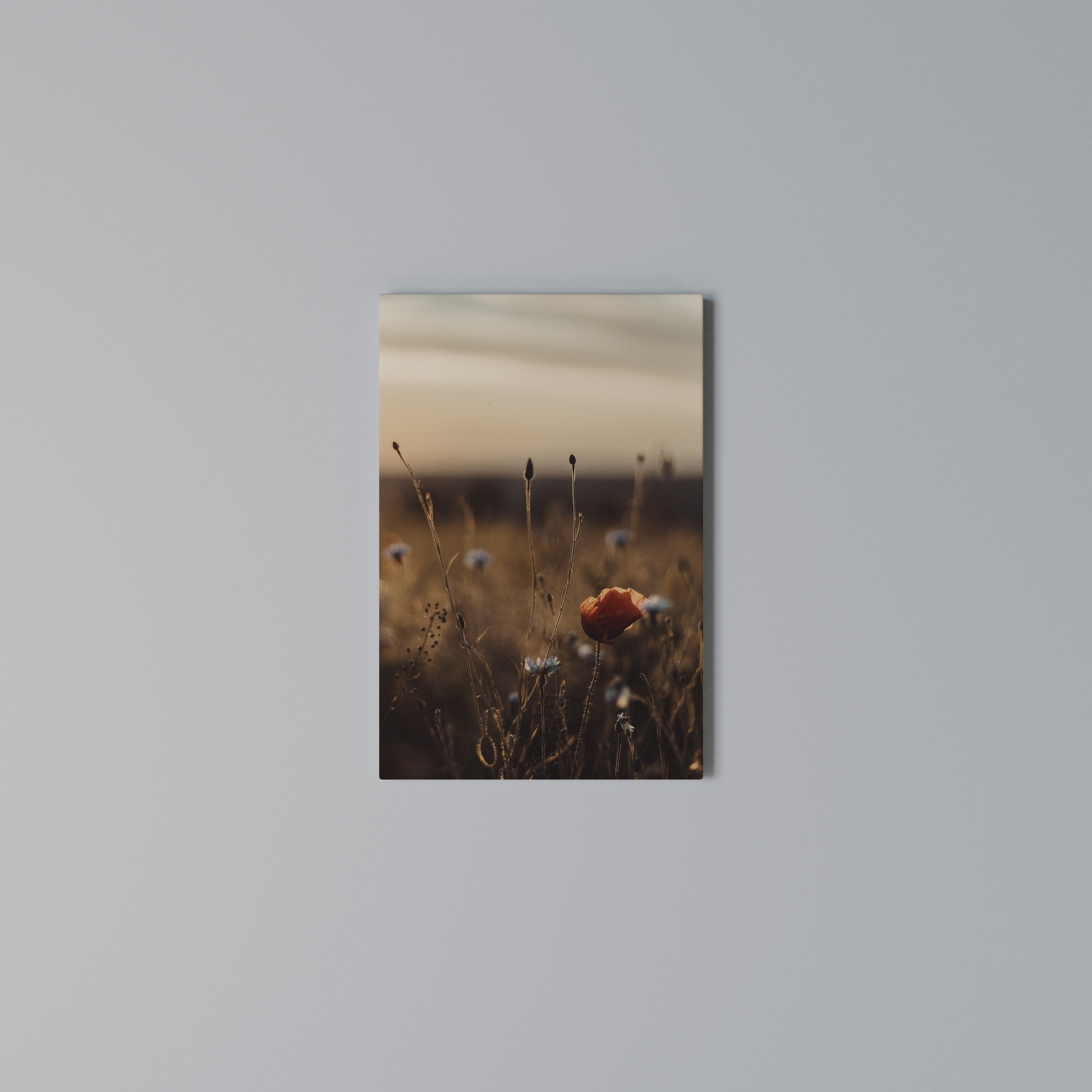 GLOWING MEADOWS AT DUSK Quadro em tela vertical