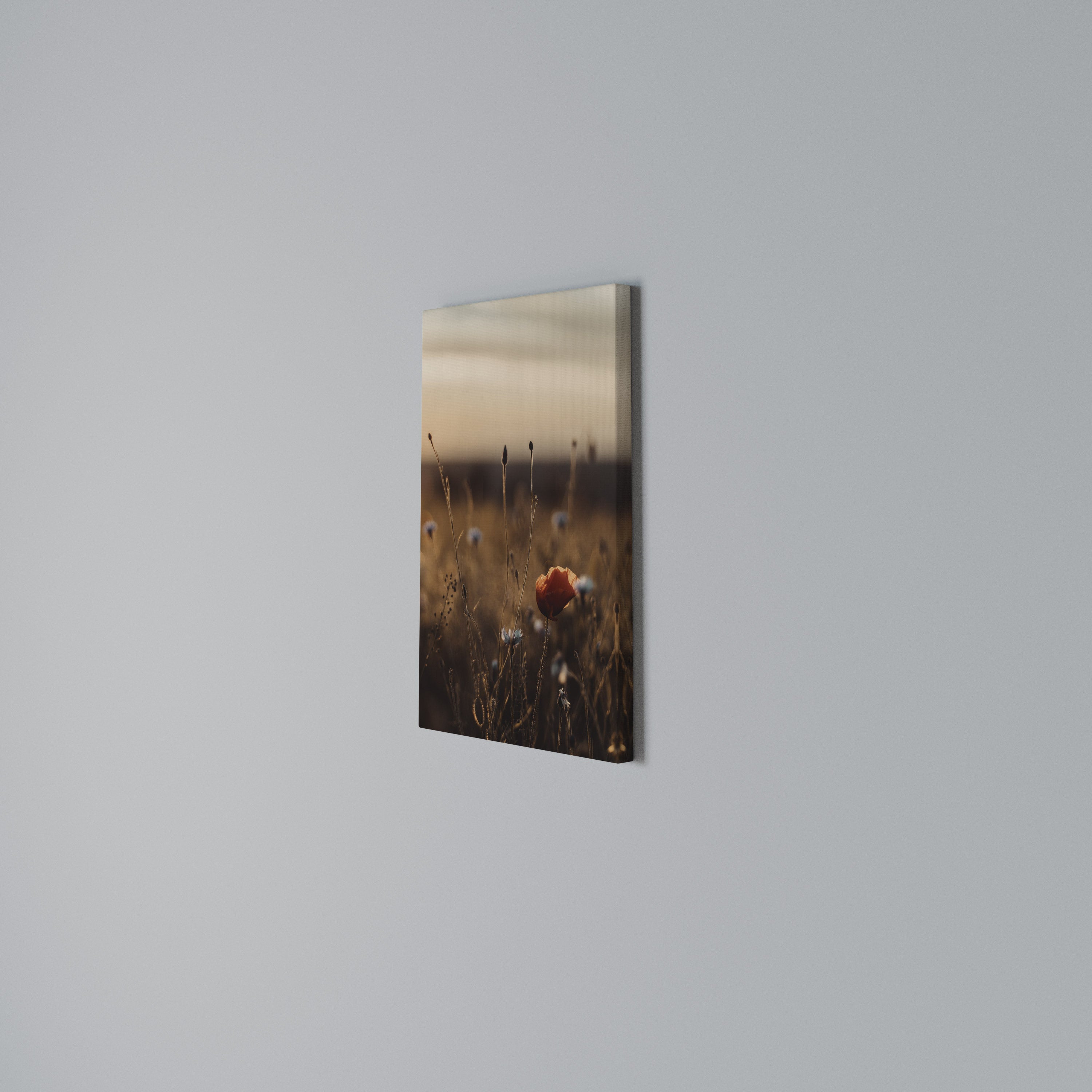 GLOWING MEADOWS AT DUSK Quadro em tela vertical