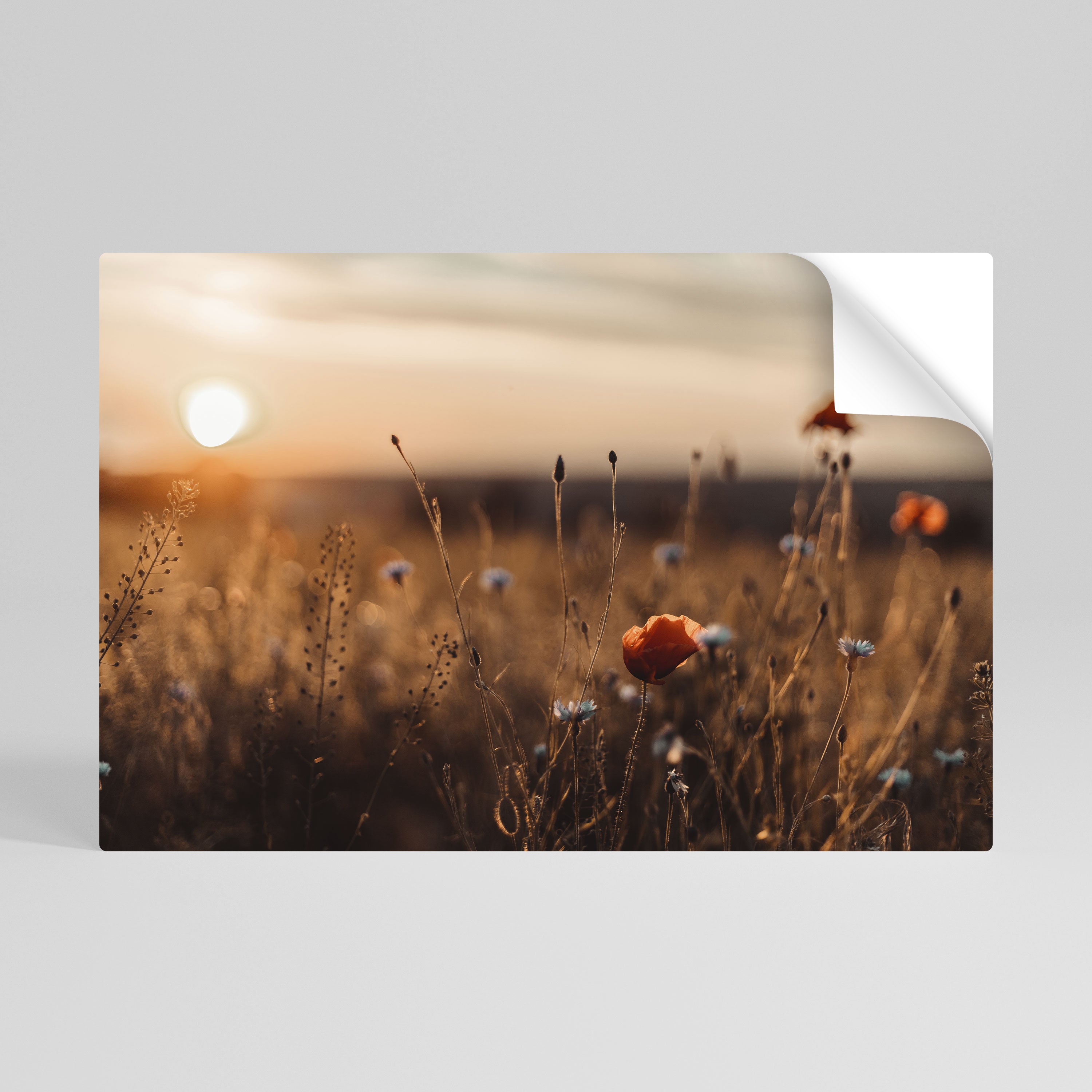 GLOWING MEADOWS AT DUSK Peel and Stick Horizontal Poster