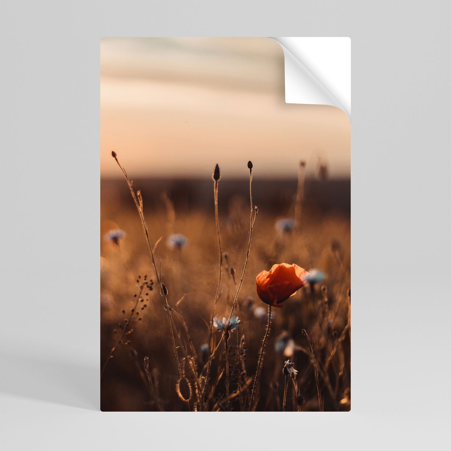 GLOWING MEADOWS AT DUSK Póster Autocolante Vertical