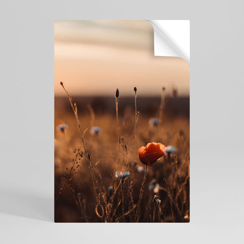 GLOWING MEADOWS AT DUSK Póster Autocolante Vertical