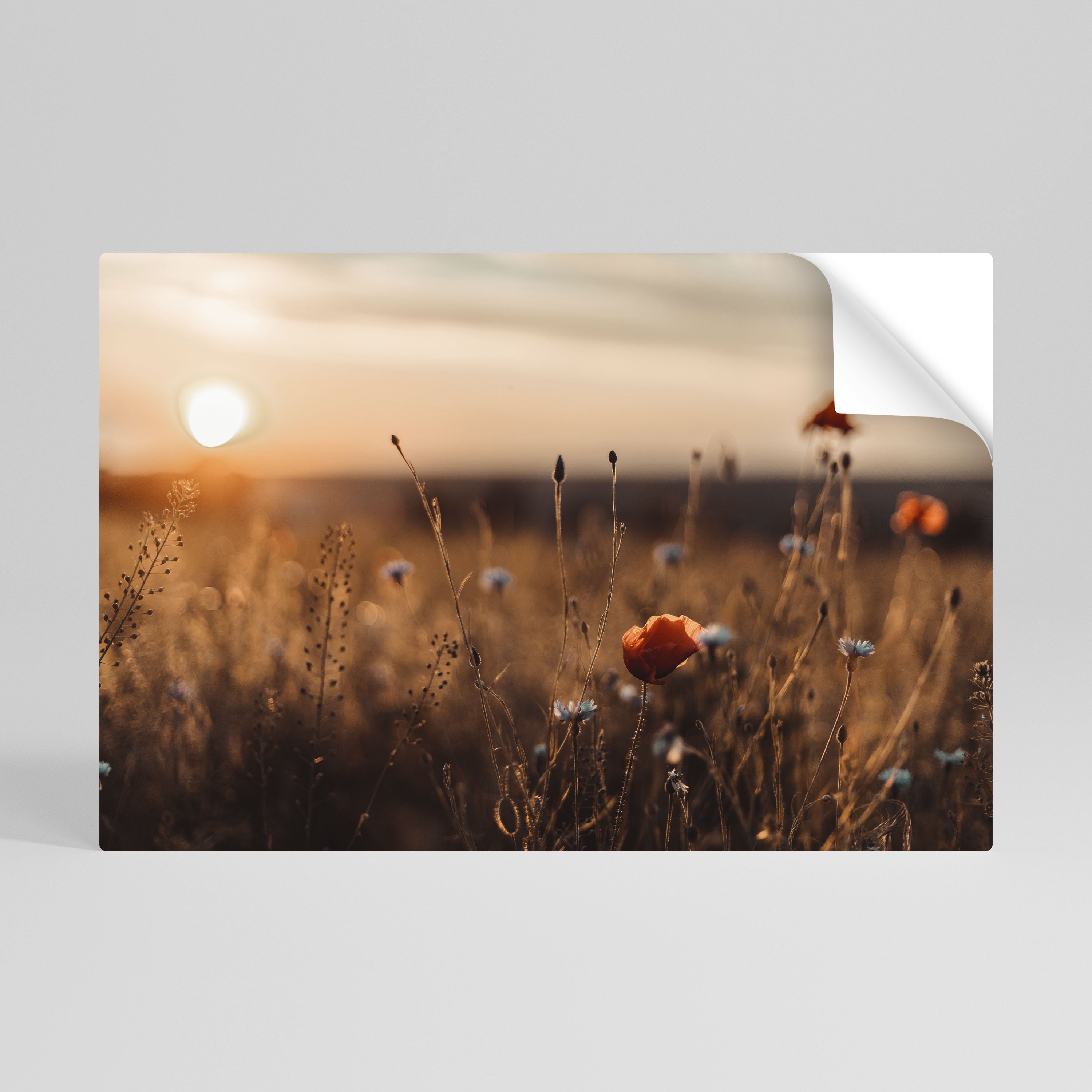 GLOWING MEADOWS AT DUSK Peel and Stick Horizontal Poster