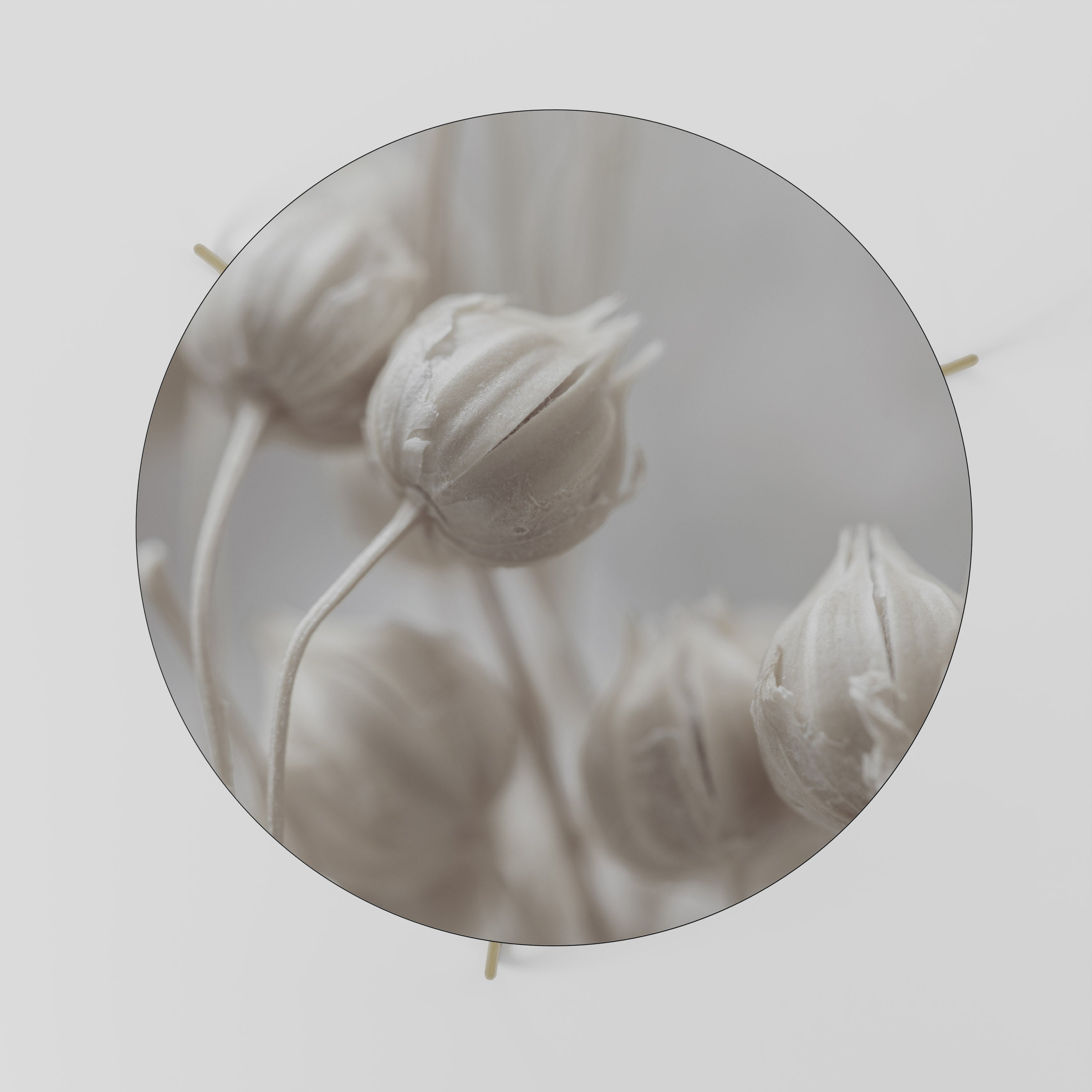 MYSTICAL BOTANICAL BLUSH Mesa de Centro 69