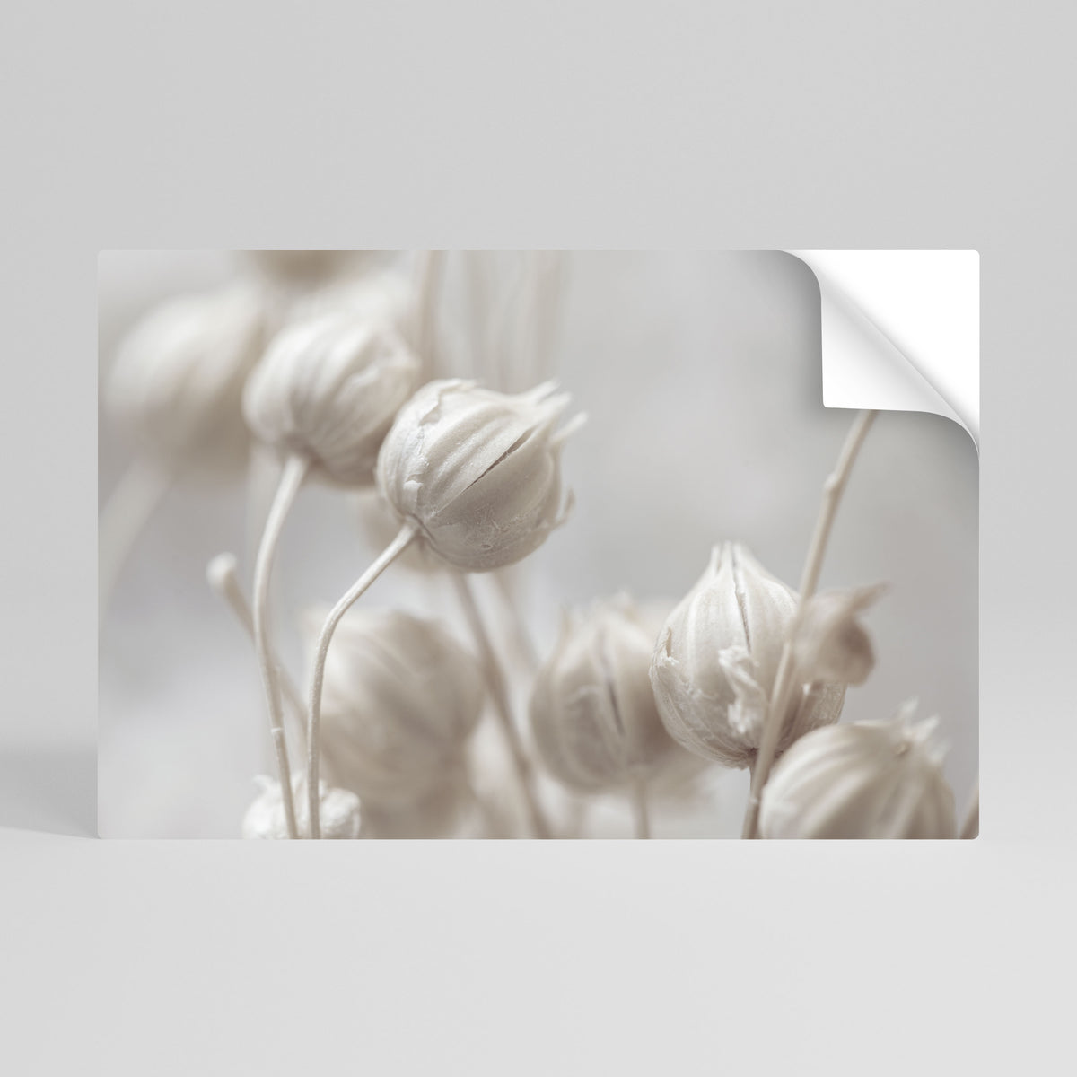MYSTICAL BOTANICAL BLUSH Póster Autocolante Horizontal