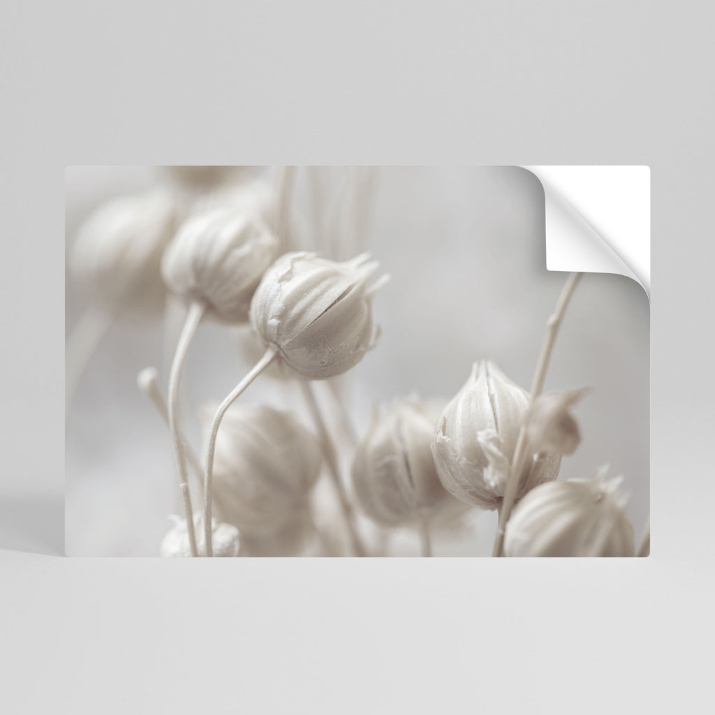 MYSTICAL BOTANICAL BLUSH Poster Horizontal Autocolante