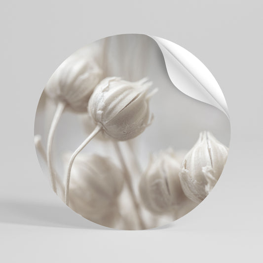 MYSTICAL BOTANICAL BLUSH Autocolante Redondo Removível