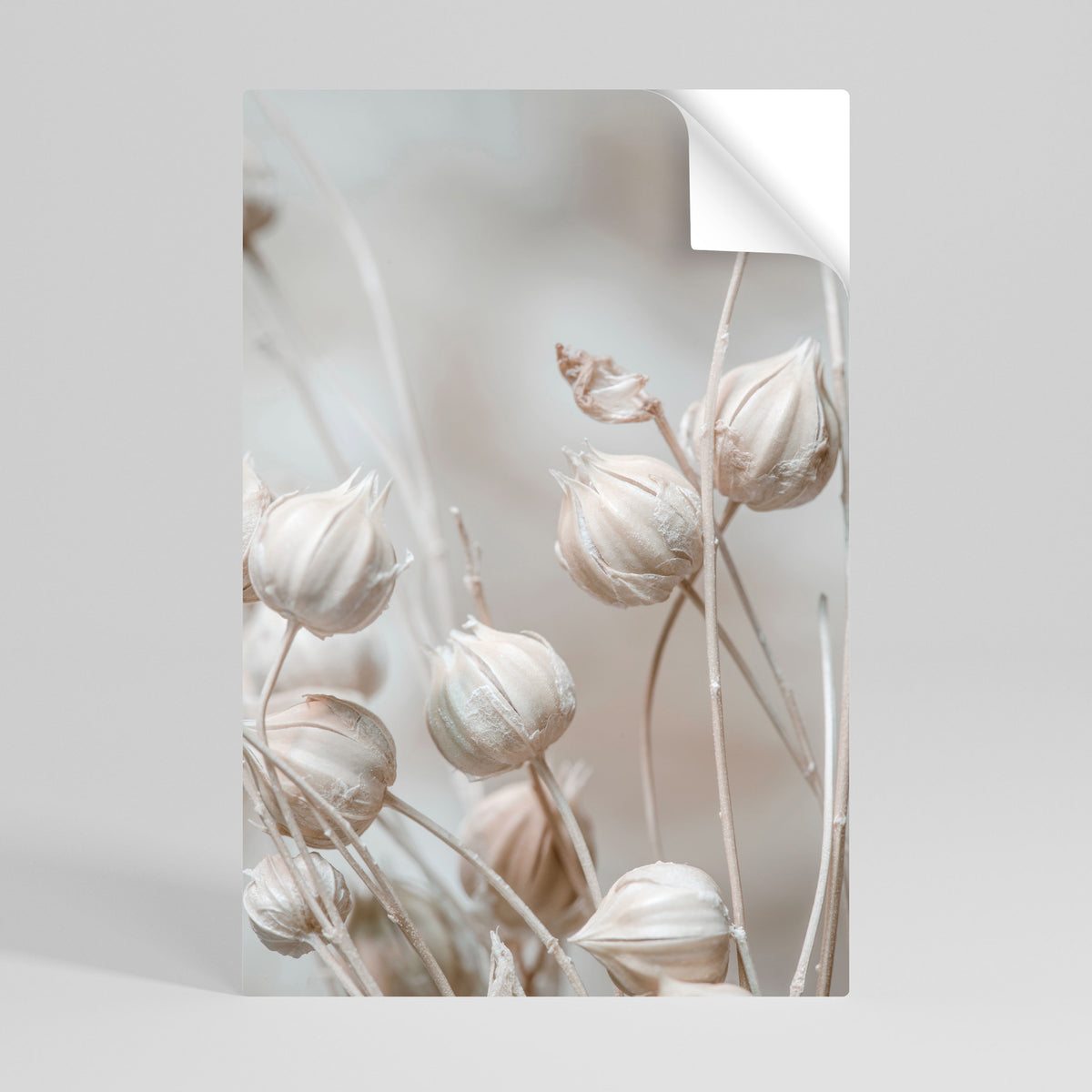 TRANQUIL BLOOMING VISION Póster Autocolante Vertical