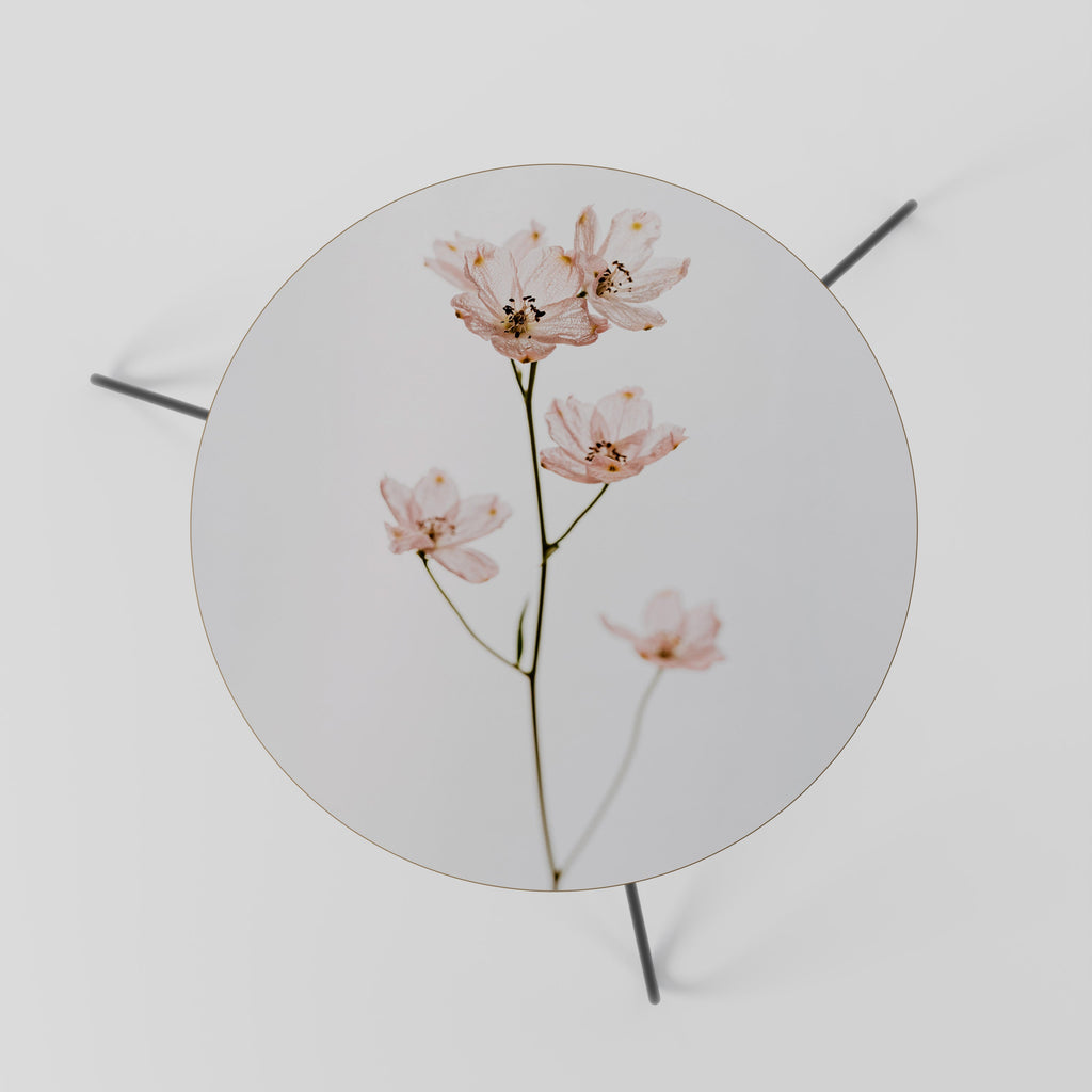 WHISPERS OF PINK Mesa de Centro 60