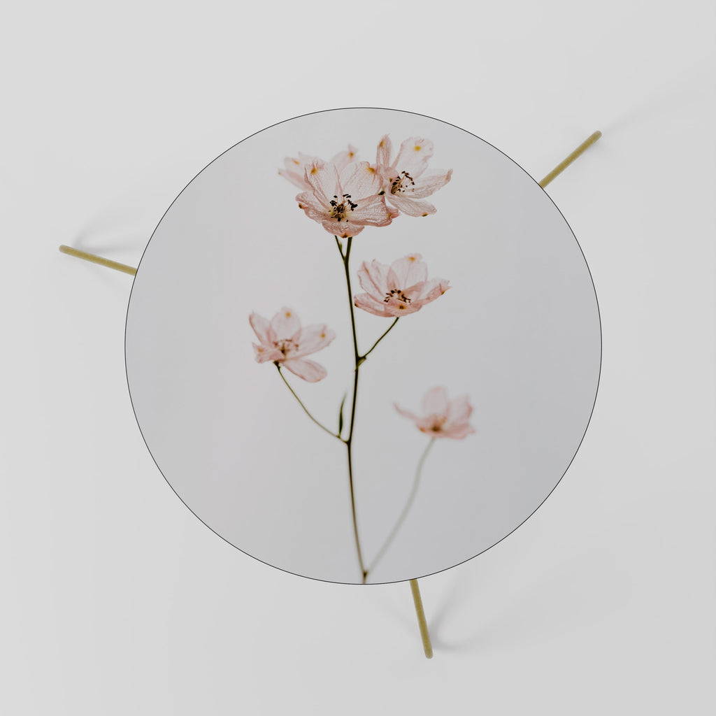 WHISPERS OF PINK Mesa de Centro 60