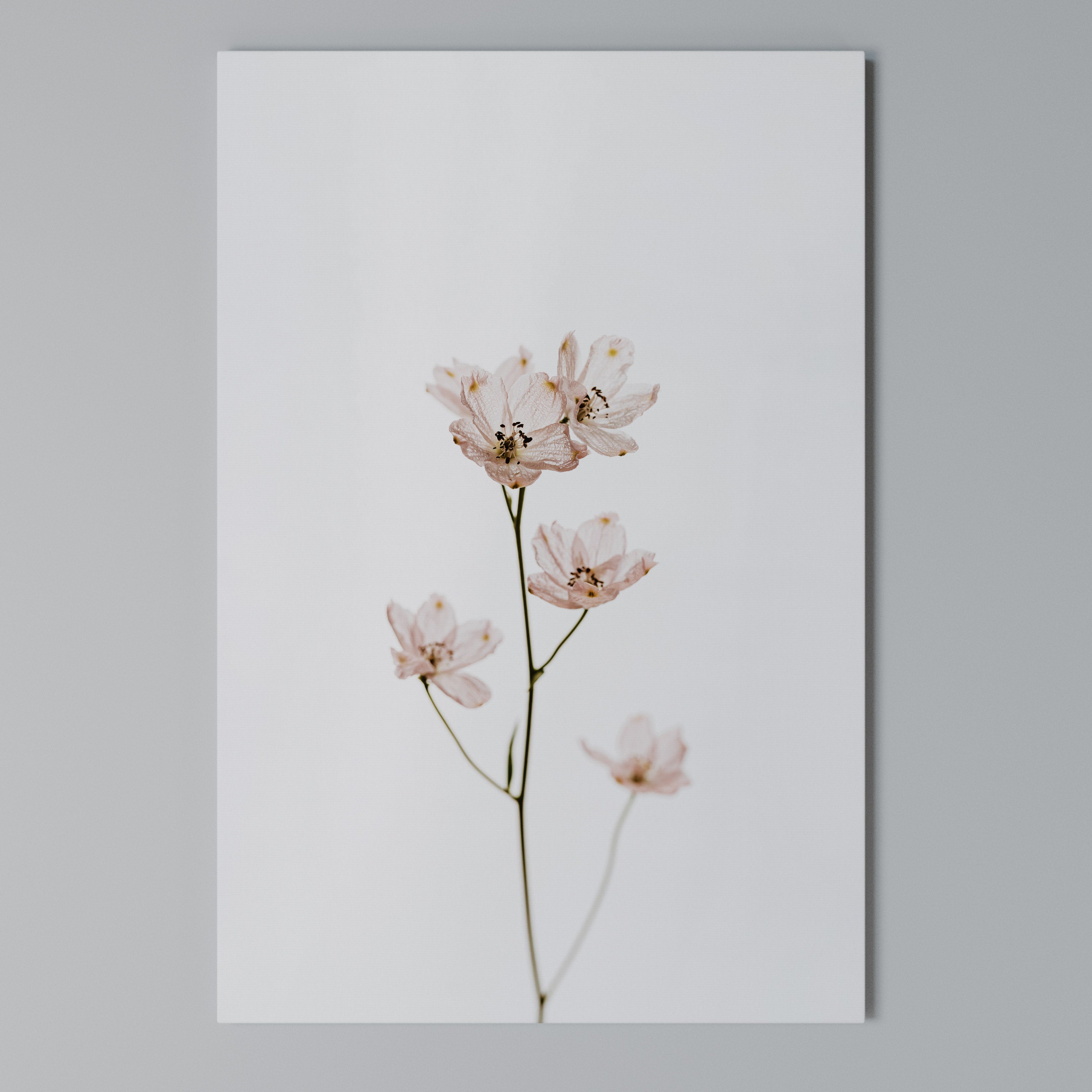 WHISPERS OF PINK Quadro em tela vertical