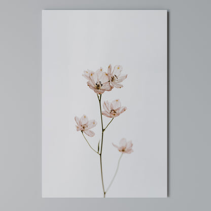 WHISPERS OF PINK Vertical Canvas Print