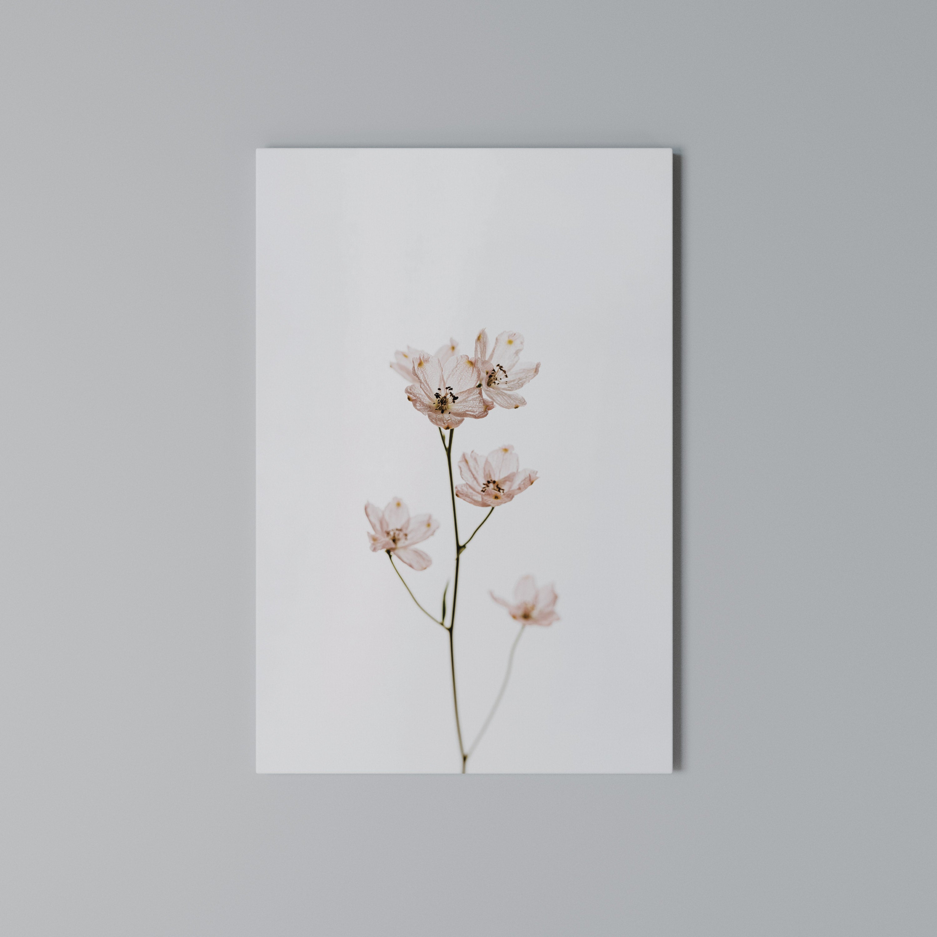 WHISPERS OF PINK Quadro em tela vertical