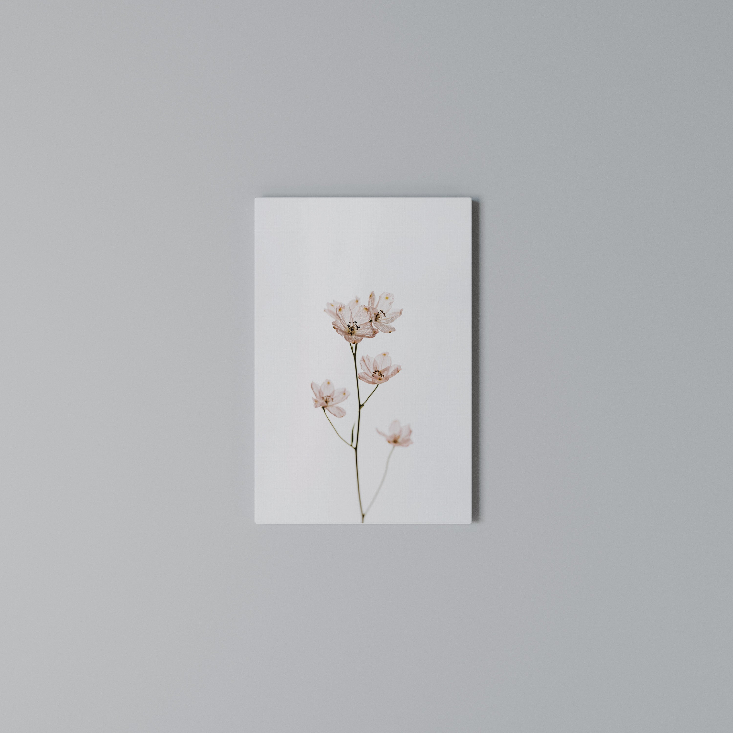 WHISPERS OF PINK Quadro em tela vertical