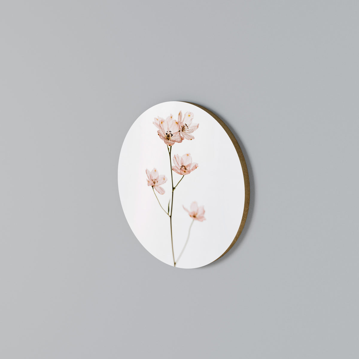 WHISPERS OF PINK Round Wall Art