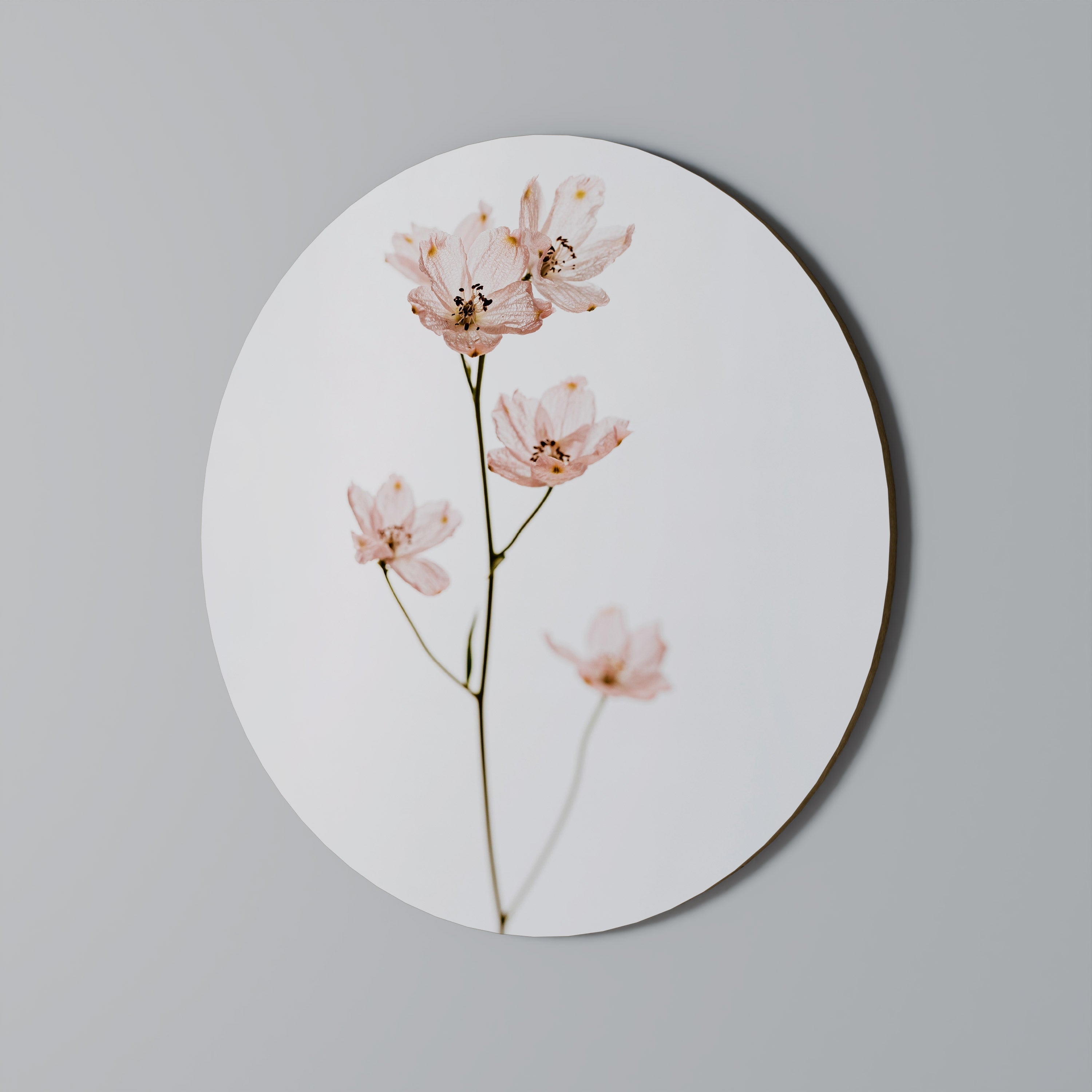 WHISPERS OF PINK Round Wall Art