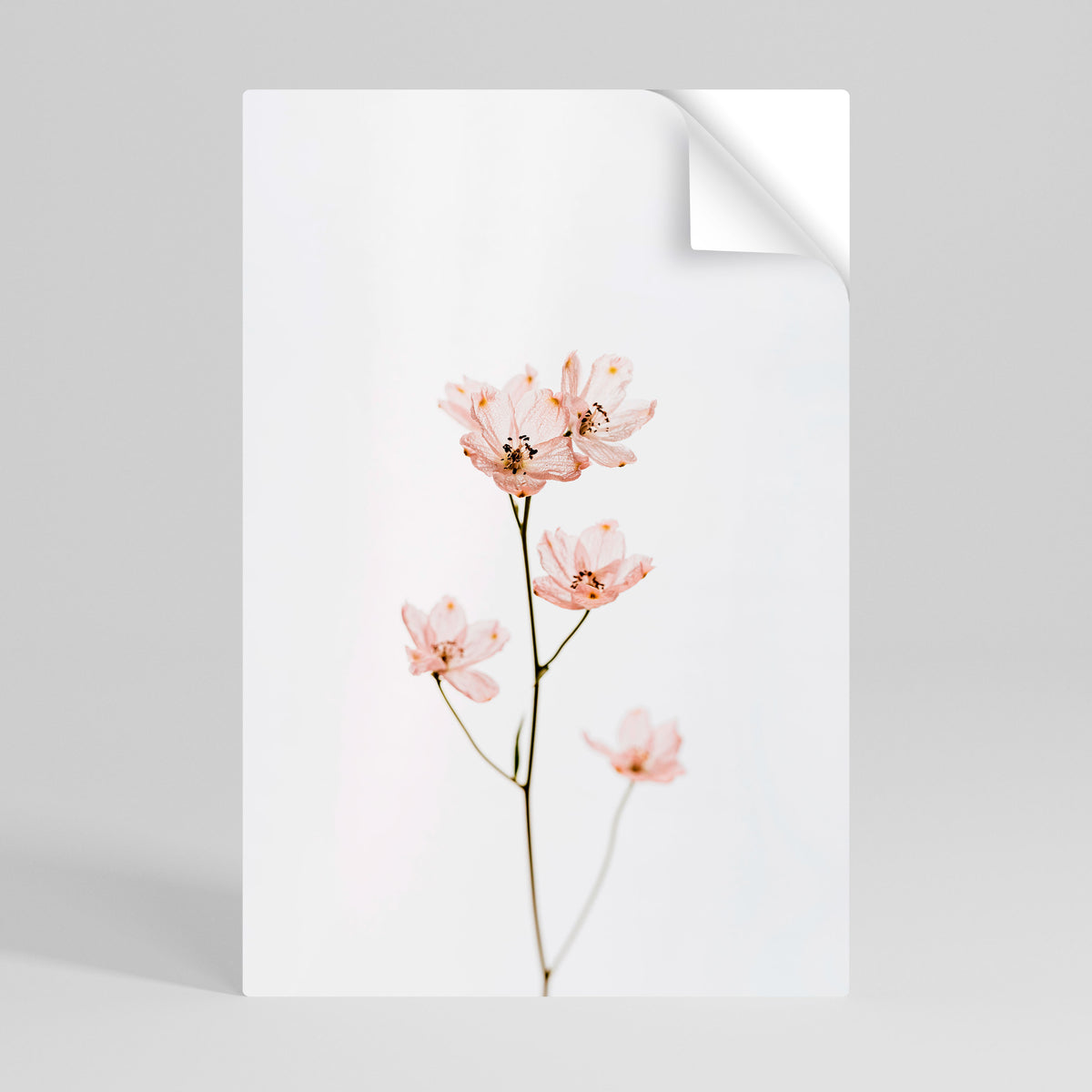 WHISPERS OF PINK Póster Autocolante Vertical