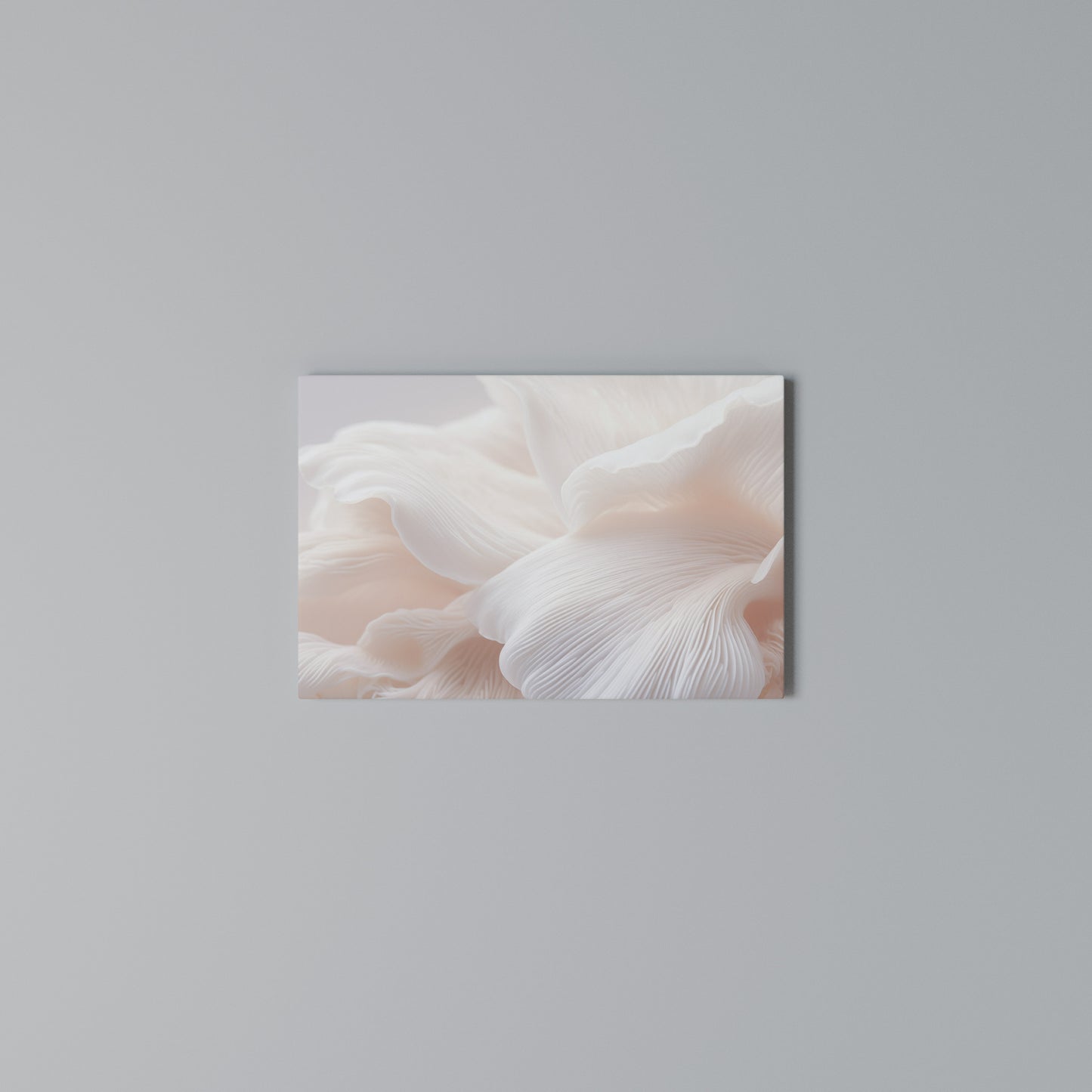 DELICATE PINK HARMONY Horizontal Canvas Print