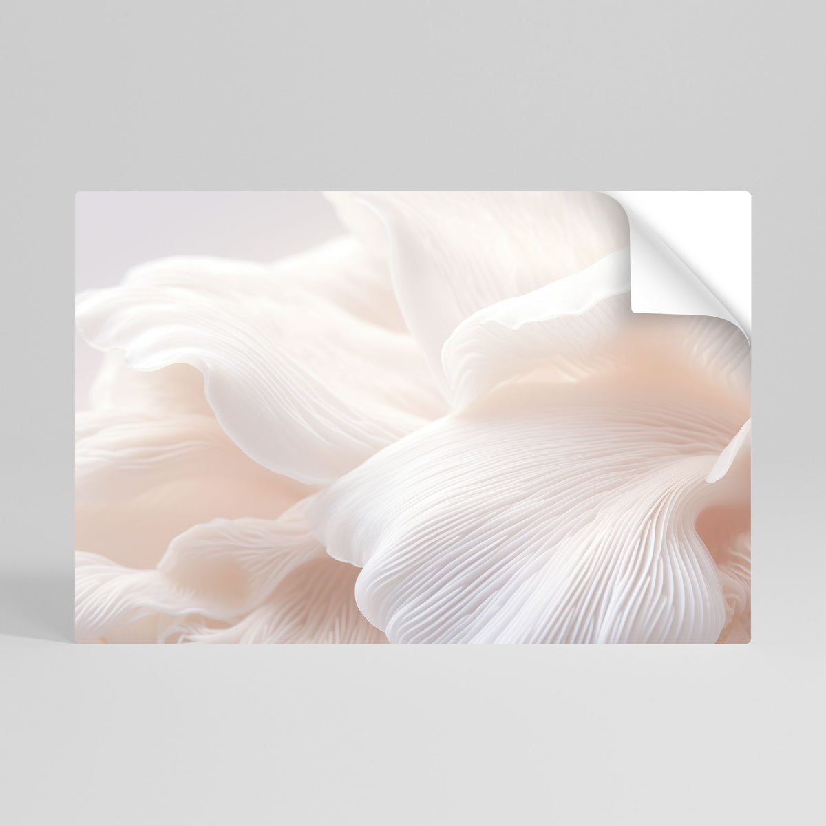 DELICATE PINK HARMONY Póster Autocolante Horizontal
