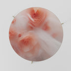 TENDER BLOSSOM VEIL Mesa de Centro 69