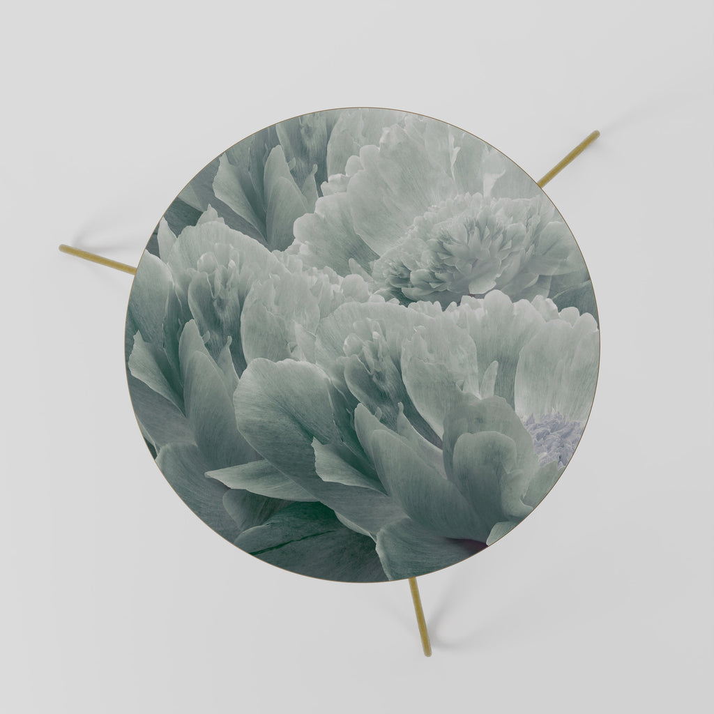 TREE PEONIES Mesa de Centro 60