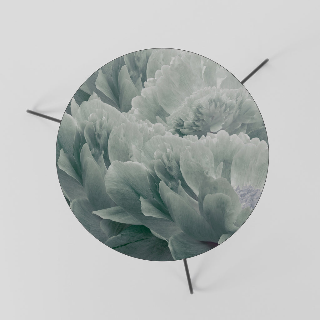 TREE PEONIES Mesa de Centro 60