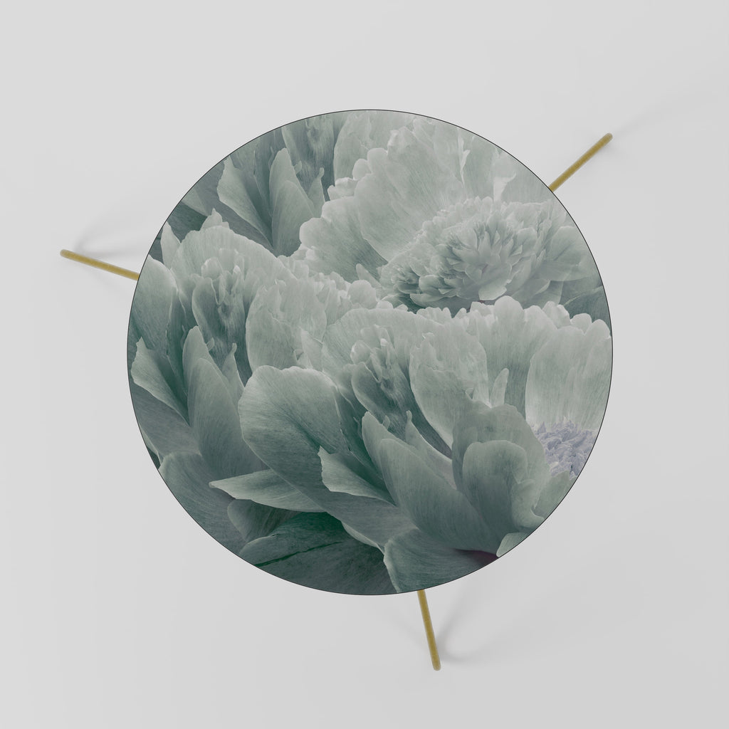 TREE PEONIES Mesa de Centro 60