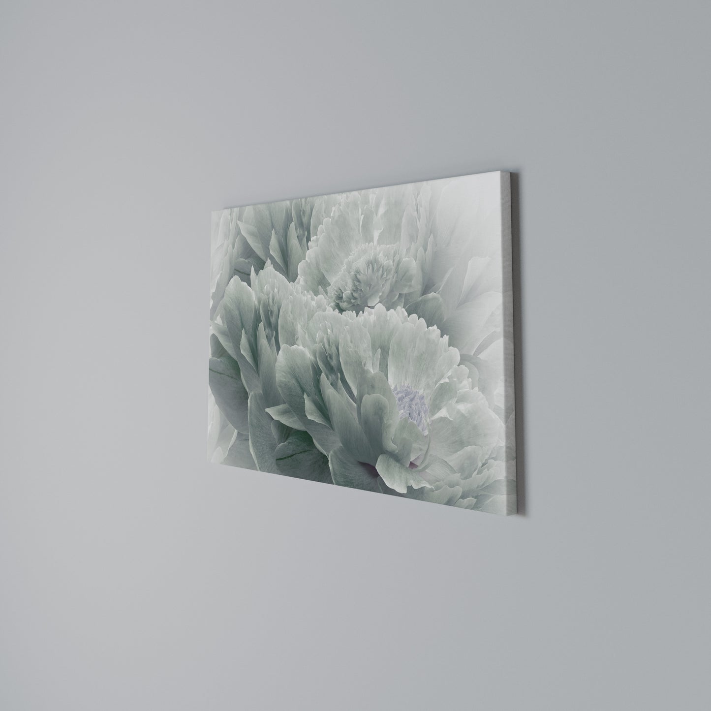 TREE PEONIES Horizontal Canvas Print