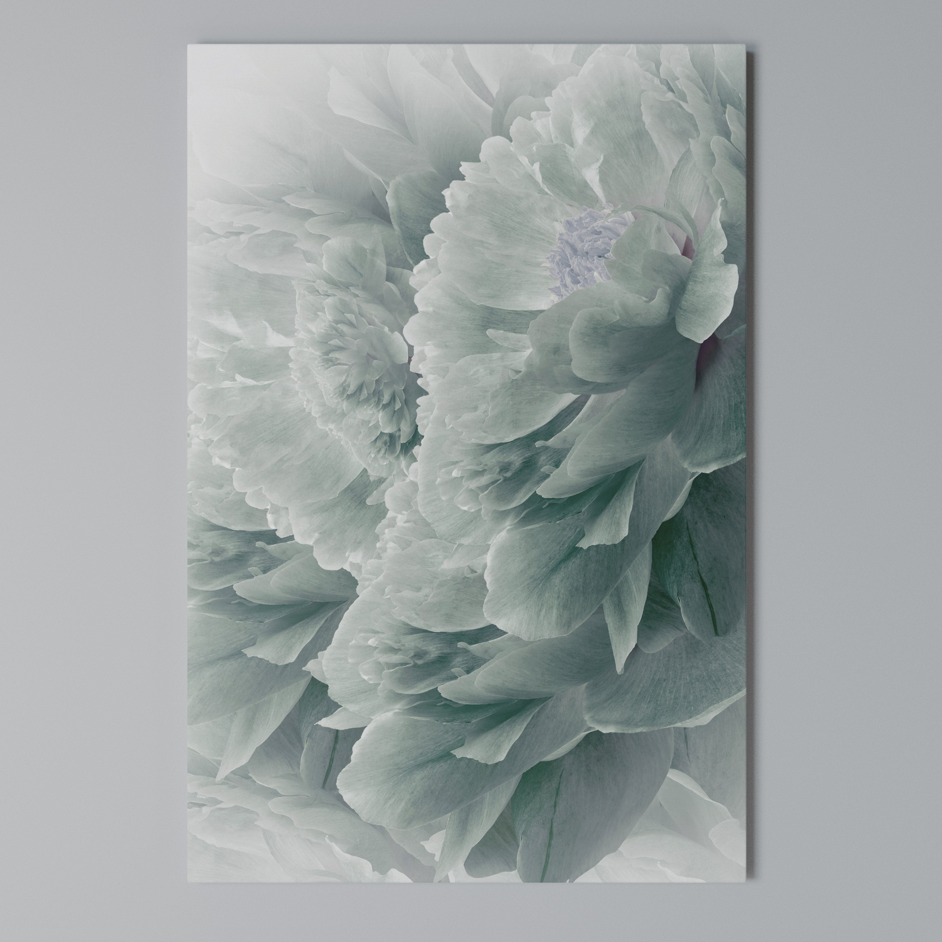 TREE PEONIES Quadro em tela vertical