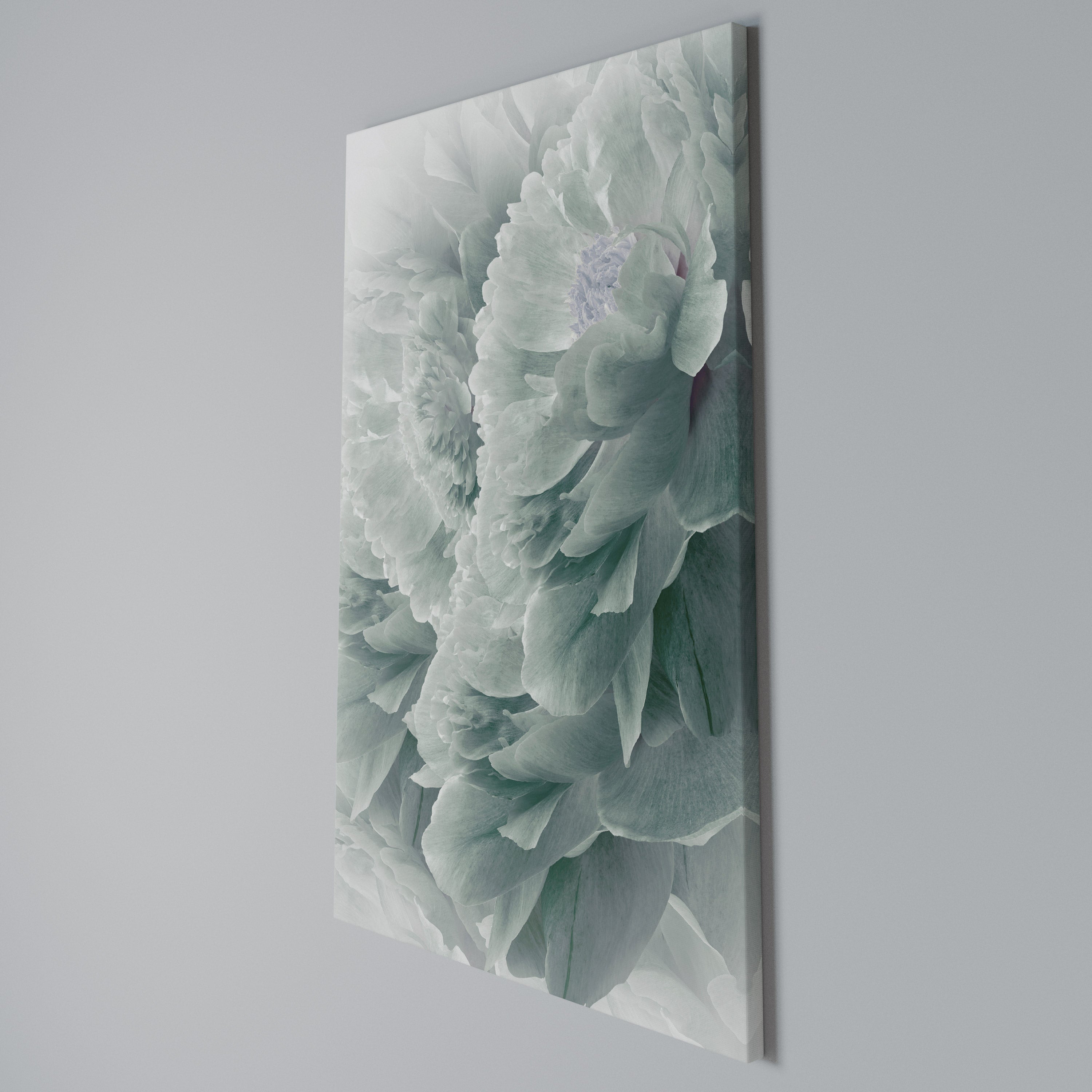 TREE PEONIES Vertical Canvas Print