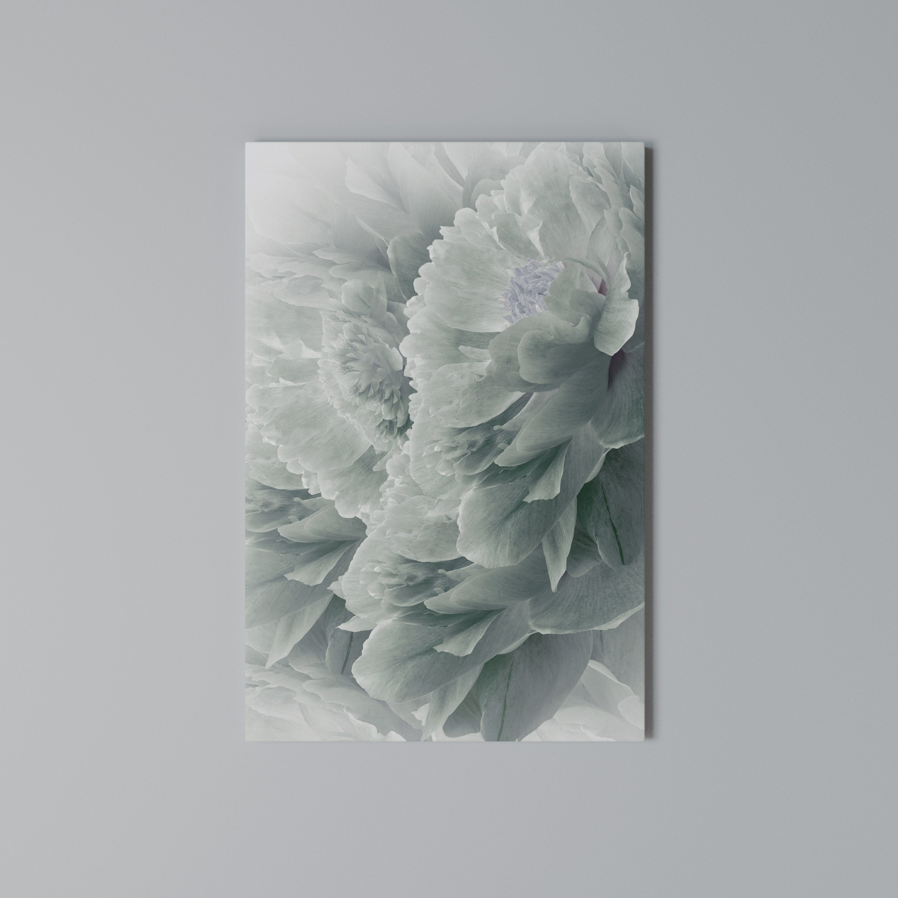 TREE PEONIES Quadro em tela vertical