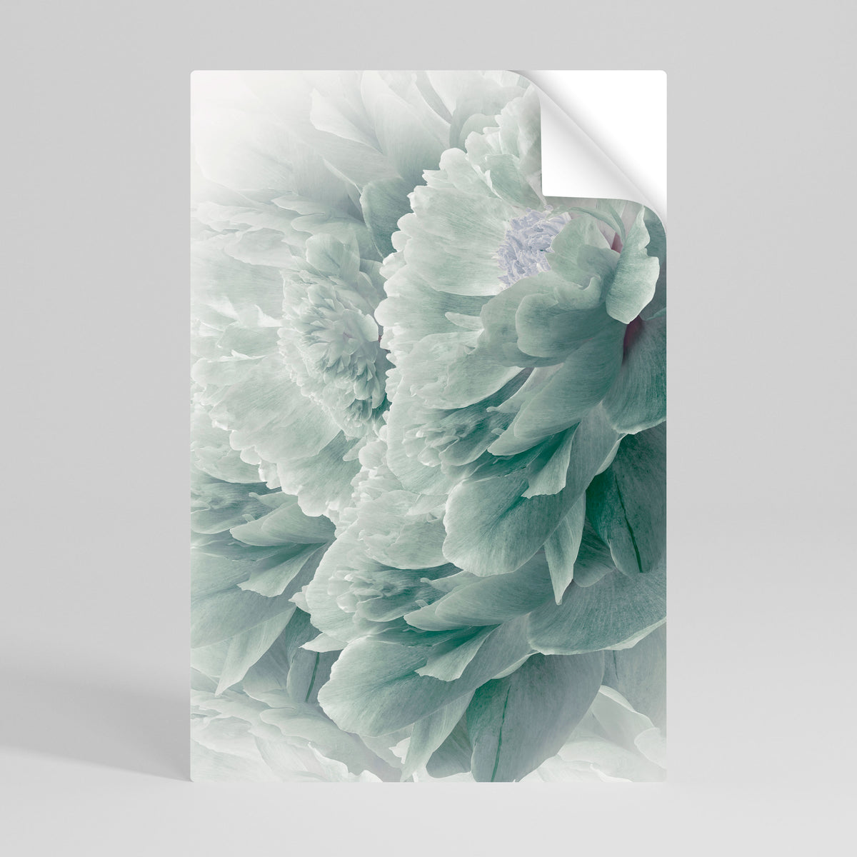 TREE PEONIES Póster Autocolante Vertical