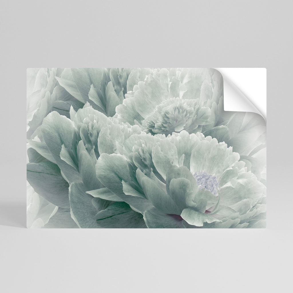 TREE PEONIES Peel and Stick Horizontal Poster