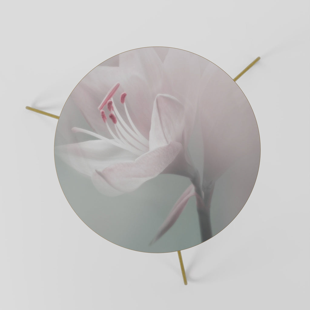 GENTLE LILY Mesa de Centro 60