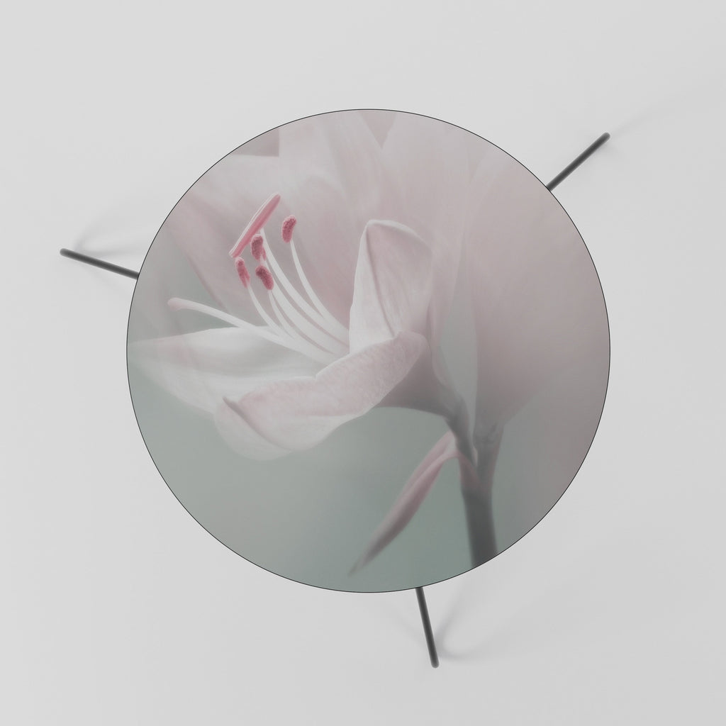 GENTLE LILY Mesa de Centro 60