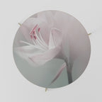 GENTLE LILY Mesa de Centro 69