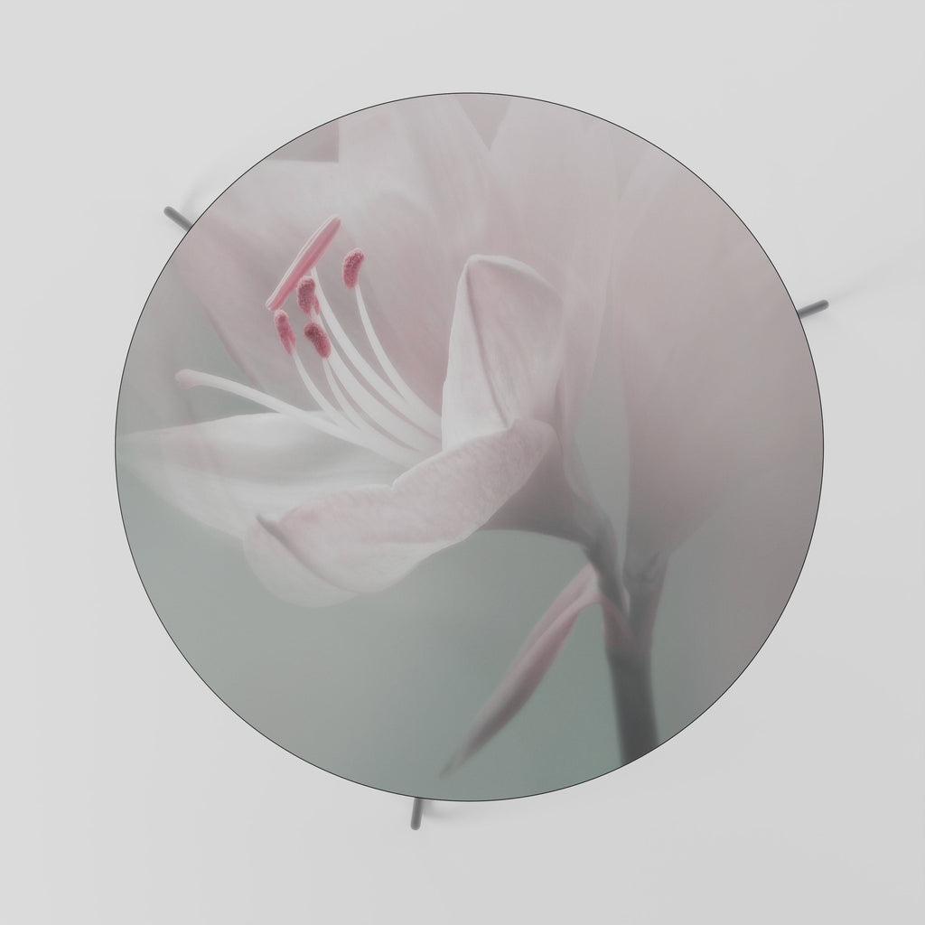 GENTLE LILY Mesa de Centro 69