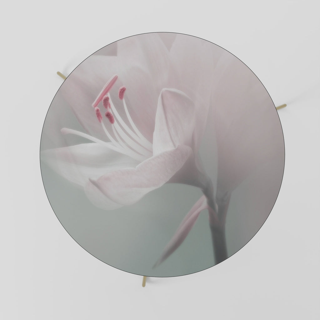 GENTLE LILY Mesa de Centro 69