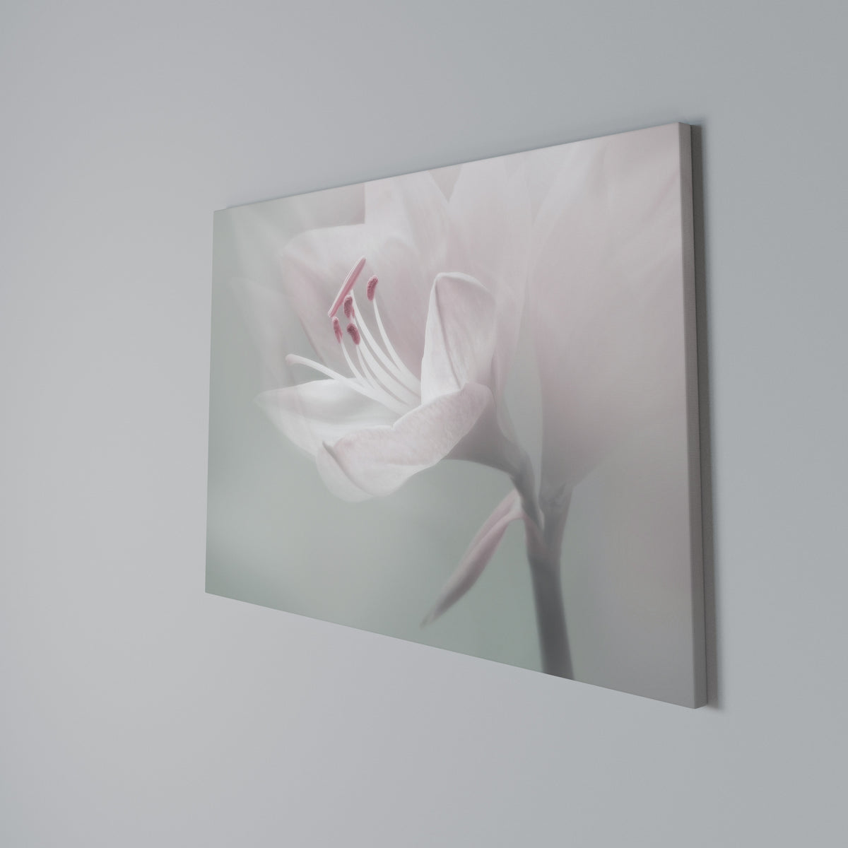 GENTLE LILY Horizontal Canvas Print