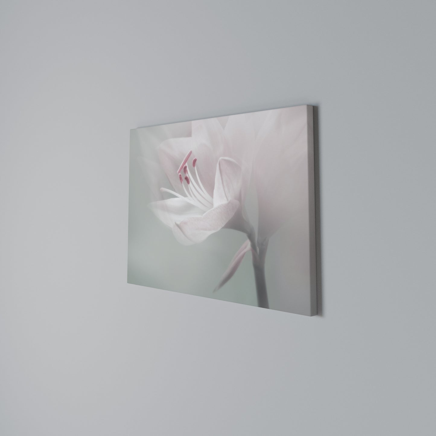 GENTLE LILY Horizontal Canvas Print