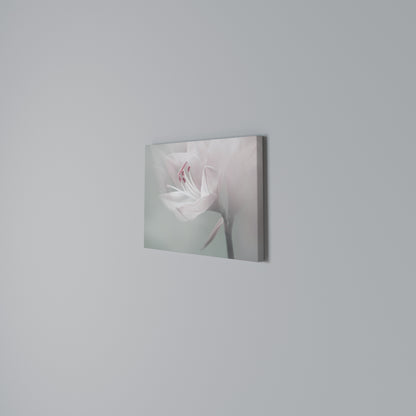 GENTLE LILY Horizontal Canvas Print