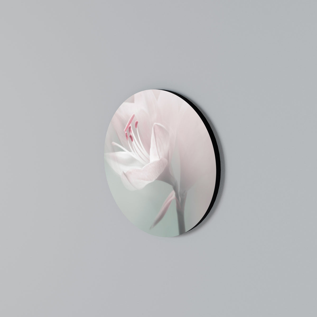 GENTLE LILY Round Wall Art