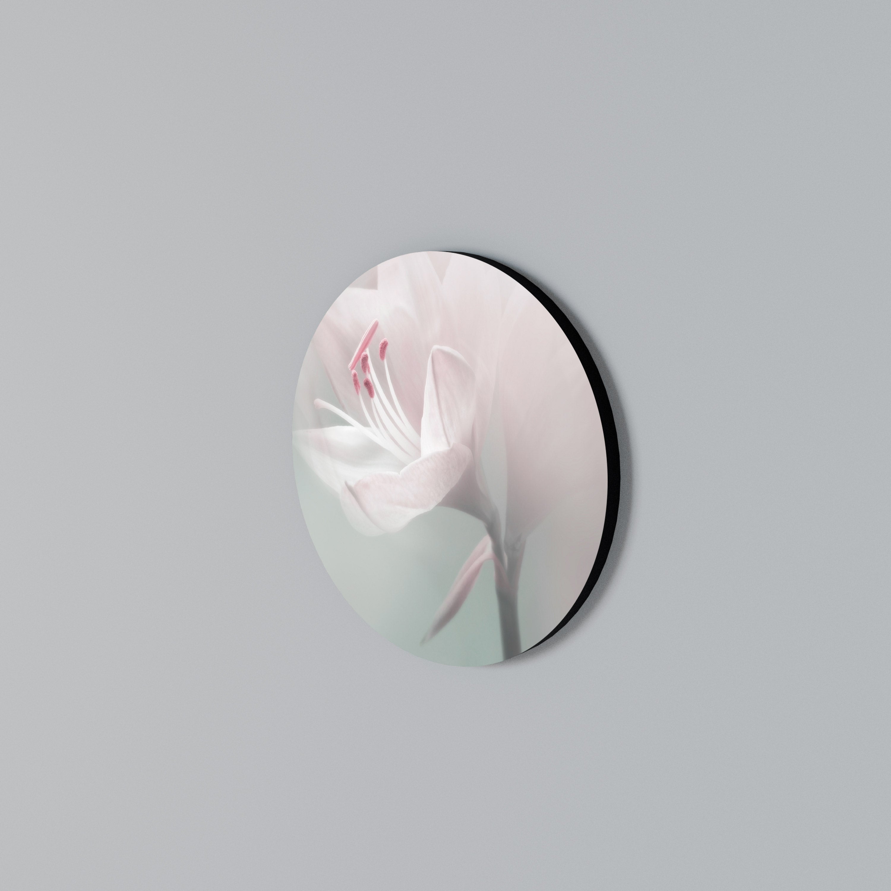 GENTLE LILY Arte de Parede Redonda
