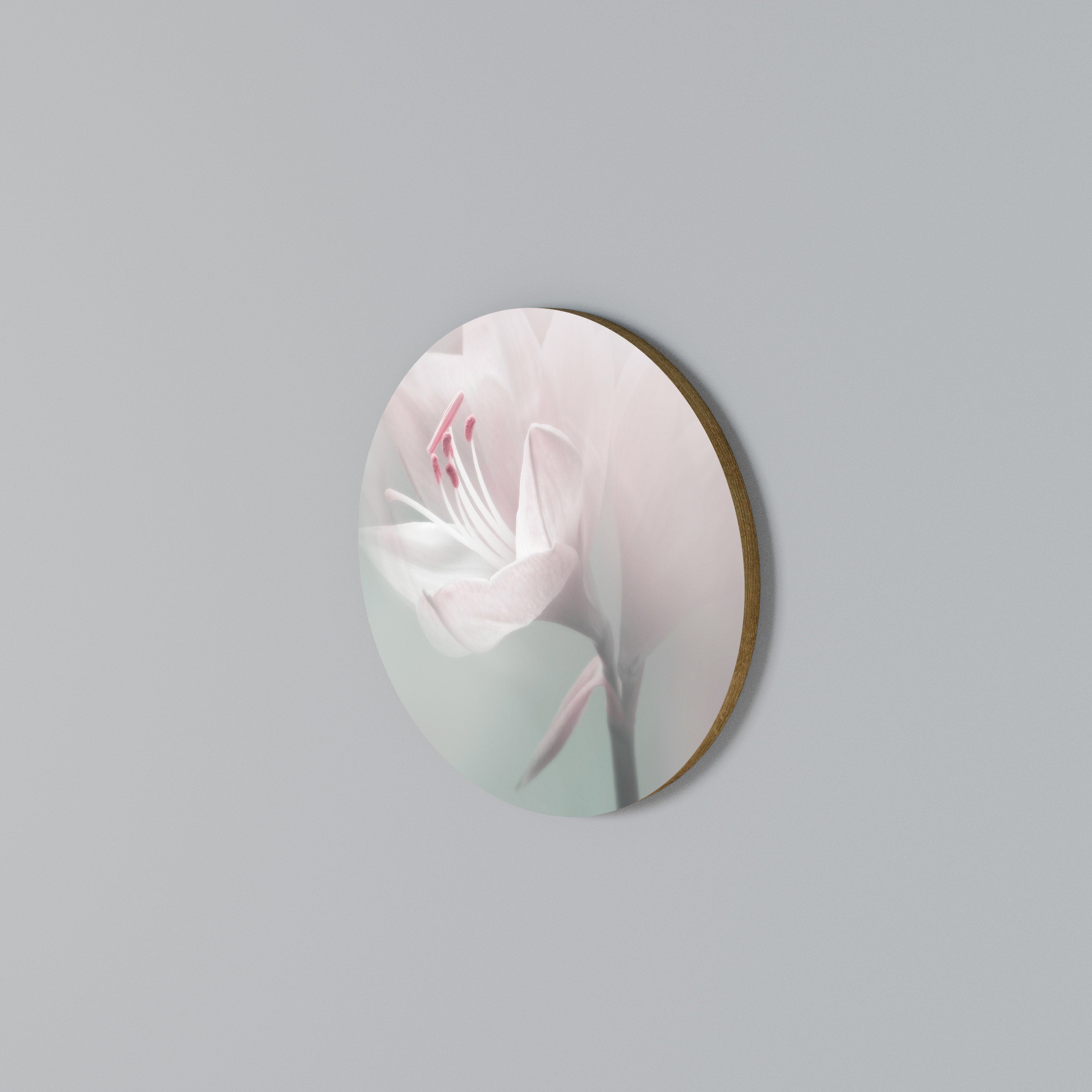 GENTLE LILY Arte de Parede Redonda