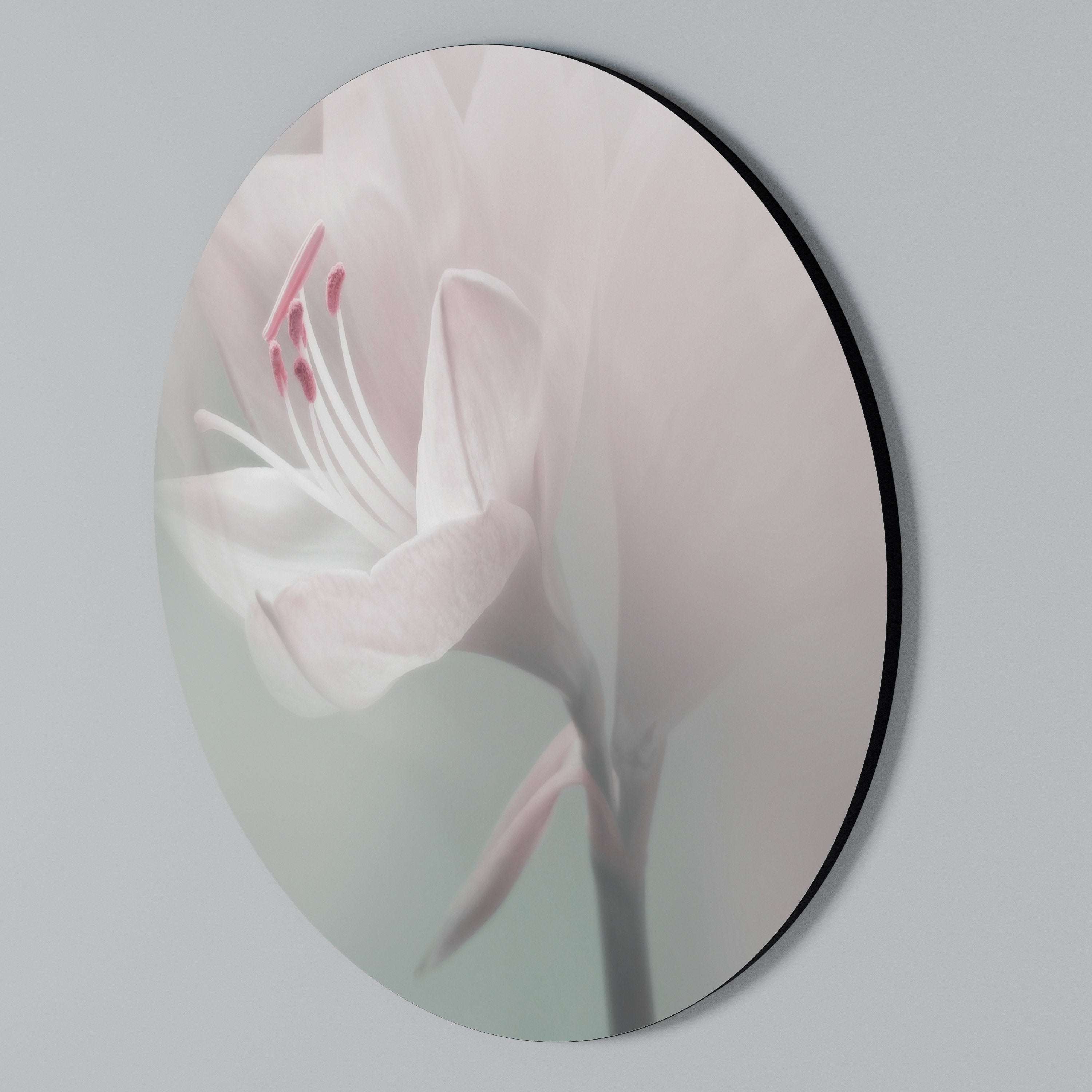GENTLE LILY Arte de Parede Redonda