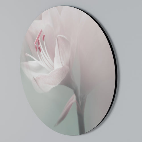 GENTLE LILY Round Wall Art