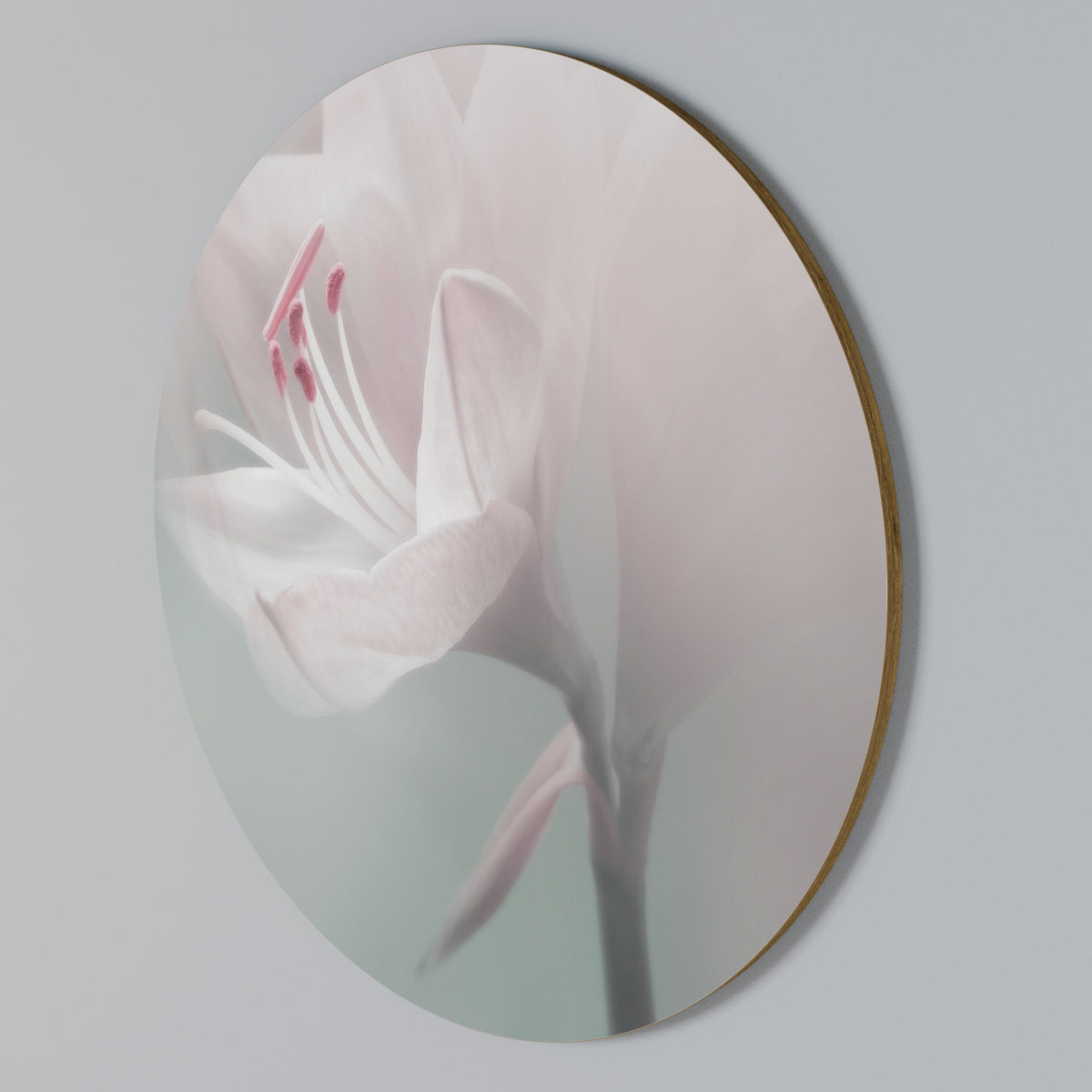 GENTLE LILY Round Wall Art